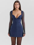 Long Sleeve Plunge Neck Mini Dress- Outfit