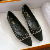 Spring And Summer New Fairy Wind Chain Flat Sole Single Shoes Women's Version Of Sharp Head Light Soft Bottom