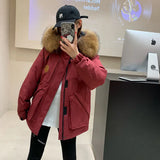 Raccoon Big Hair Collar Overalls Down Jacket Female 2024 Winter Fashion Thickened Couples Frost Resistant Outdoor Assault Jacket-Outfit