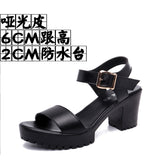 And Thick Waterproof Table Sandals Women High Heel With Heel Toe Model Show Shoes Buckle With Fish Mouth Sandals Shoes