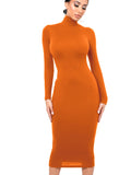 Black Turtleneck Sexy Women Dress Autumn Long Sleeve Skinny Midi Boydcon Casual Blue Plush Knee-Length