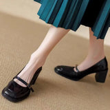 Autumn 2025, The New French Retro Wind Shallow Square Head Single Shoes Temperament High Heel With Mary Jane Women's