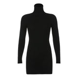 High Neck Long Sleeve Hip DressOutfit