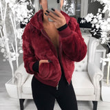 Fluffy Fleece Jackets 2020 Winter Hooded Cropped Coats and Jackets Faux Fur Coat Warm Outwear Clothing Teddy