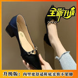 Wind Four Seasons Shoes 2025 Summer New High Heels In The Tip Of The Thick Heel With Skirt Low Single