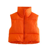 INS 9 Color Double Pocket Standing Collar Cotton Vest 2021 Autumn And Winter New Double Color Slim Cotton Jacket Vest Top-Outfit