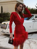 V-Neck Long Sleeve Feathers Bandage Mini Dress Winter Women Black Feathers Asymmetrical Slim Dress Evening Party Club
