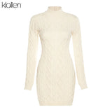 Simple Solid Long Sleeve Turtleneck Sweater Dress Autumn New Women Warm Streetwear Slim Stretch Mini Bodycon
