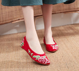 Zingj Shoes Single Shoes Spring And Autumn Fashion Embroidered Cloth Shoes Muller Women's Single Shoes Leisure A Foot