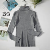 Basic Turtleneck Women Sweaters Autumn Winter Thick Warm Pullover Slim Tops Ribbed Knitted Sweater Jumper Soft Pull