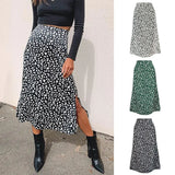 Zingj / Summer 2023 Leopard Print Slit Skirt Sexy Zipper High-Waist Long Skirt-Outfit