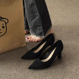 High Heels Women's Velvet Soft Soles Standing Not Tired Feet Flight Attendant Commuting Professional Black Work Shoes Single