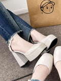 Shoes Thick Heel High Heels Waterproof Table Mary Treasure Shoes Autumn And Winter Single Shoes Women 2025 New Shoes French