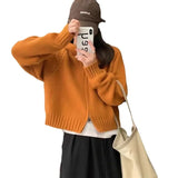 Zingj Style Multi-Color Hooded Double Zipper Knit Cardigan Women's New Short Hair Sweater Hoodie Autumn And Winter Small Coat-Outfit