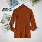 Women Turtleneck Sweater Casual Long Sleeve Korean Harajuku Slim Knitted Pullover Vintage Solid Skinny Jumper Elegant Tops
