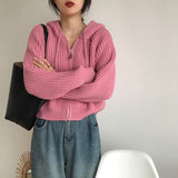 Vintage Zip Up Knitted Hooded CardiganOutfit