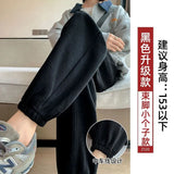 Zingj Grey Sports Pants Women's Fall Foot 2024 New Little Harlan Casual Pants Fall Thin-Outfit