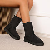 Boots Women 2025 New Winter Women's Shoes Plus Thick Warm Cotton Shoes Women Autumn And Winter Cotton