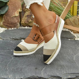 Women's Sandals 2025 Summer New Flat Bottom Slope And Pointed Casual Women's Cool Slippers