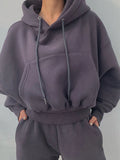 Suit Winter Spring Solid Casual Tracksuit Women Fleece 2 Pieces Set Sports Sweatshirts Pullover Home Sweatpants